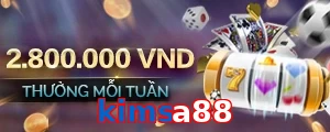 kimsa88