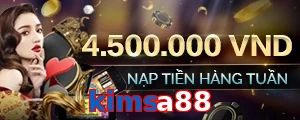 kimsa88