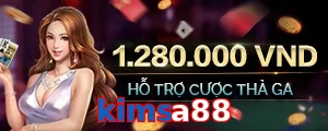 kimsa88