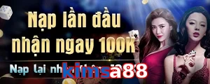kimsa88
