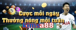 kimsa88